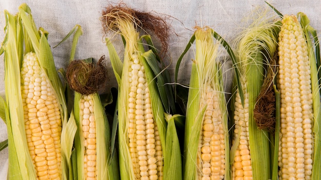 Free photo top view arrangement of maize