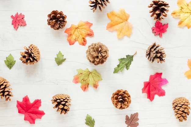 Free photo top view autumn arrangement on wooden table