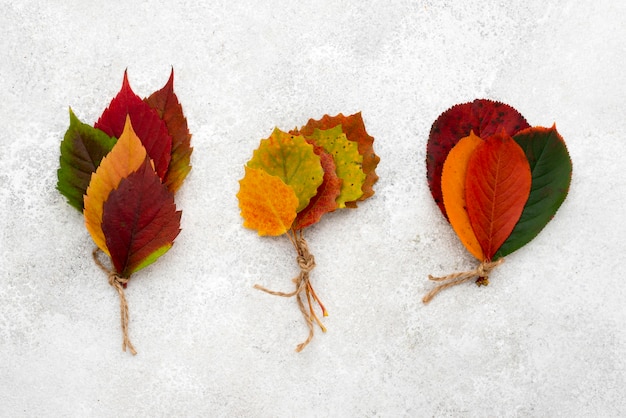 Free photo top view of autumn bouquets of leaves with string