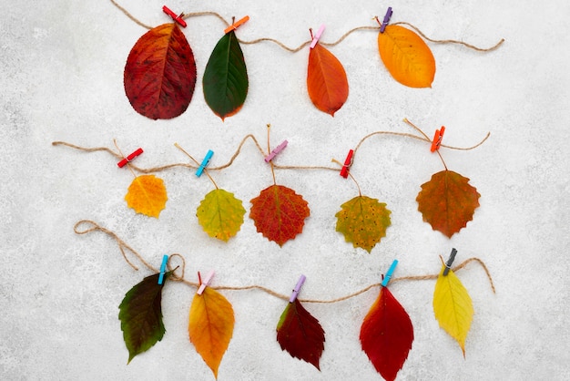 Free photo top view of beautiful autumn leaves on strings