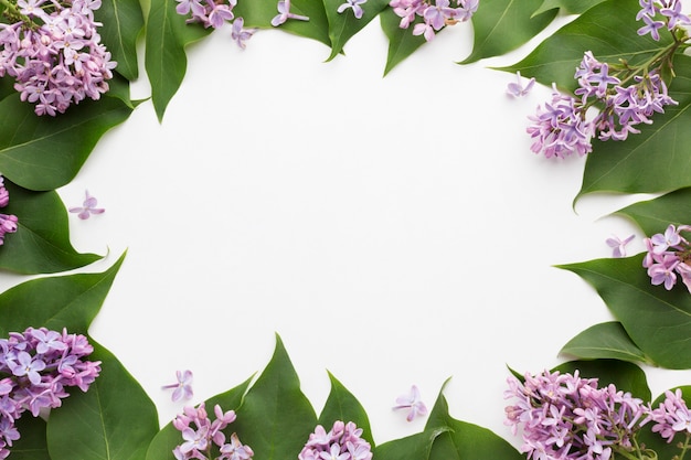 Top view of beautiful lilac frame concept