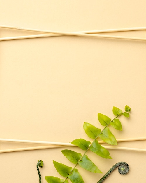 Free photo top view composition of green leaves with copy space