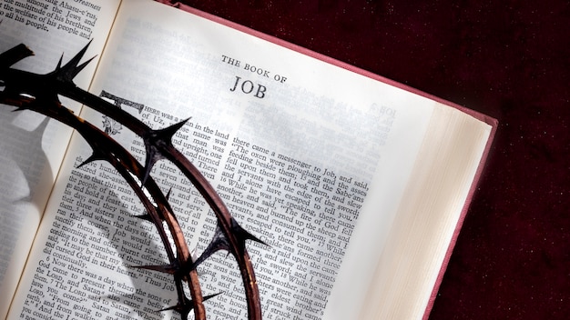 Free photo top view crown of thorns and bible