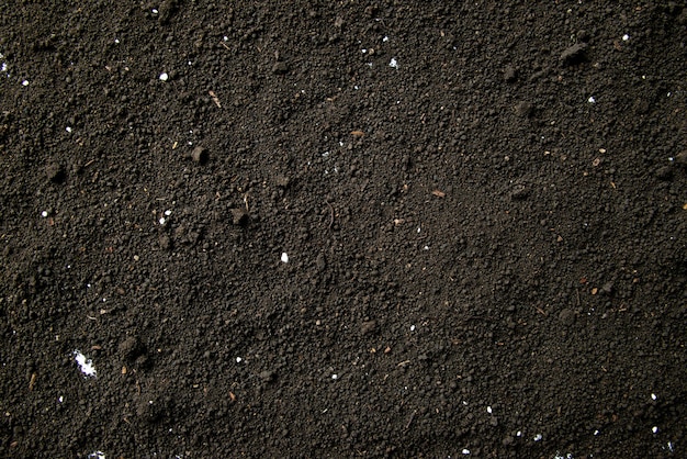 Free photo top view of dark soil background