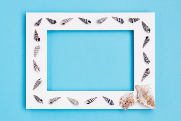 Free photo top view of frame with sea shells