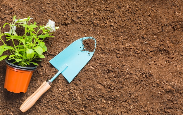 Free photo top view of gardening tools on the ground