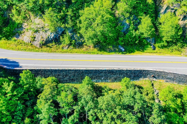 Free photo top view of a road through the green woods in virginia mountains