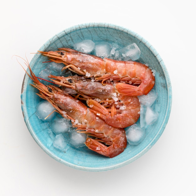 Free photo top view of shrimp on plate with ice cubes