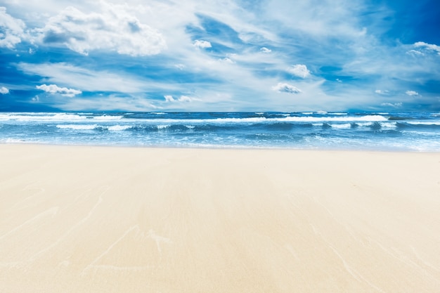 Free photo trackless sand beach