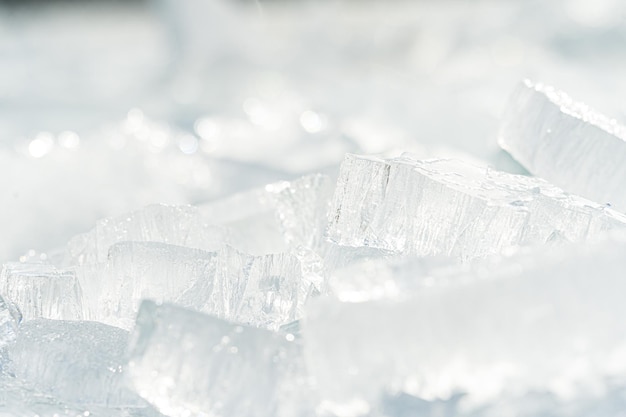 Free photo transparent shining clear ice icicles on the frozen wild lakeshore in sunset light