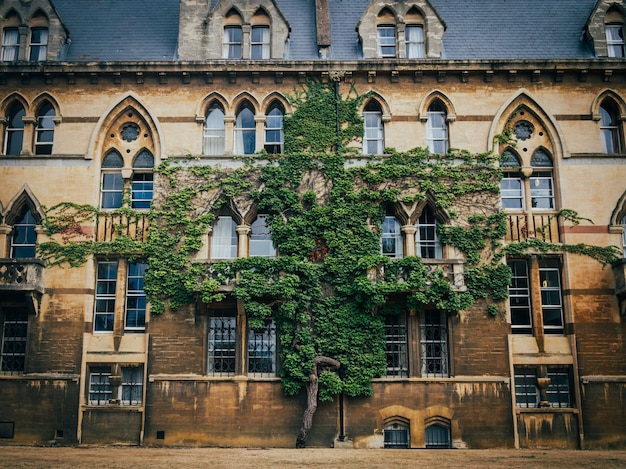 Free photo tree growing into the wall of christ church college's building in oxford.