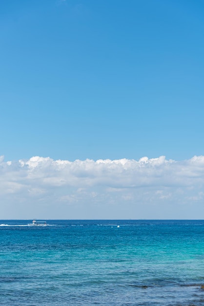 Free photo tropical beach on a sunny day