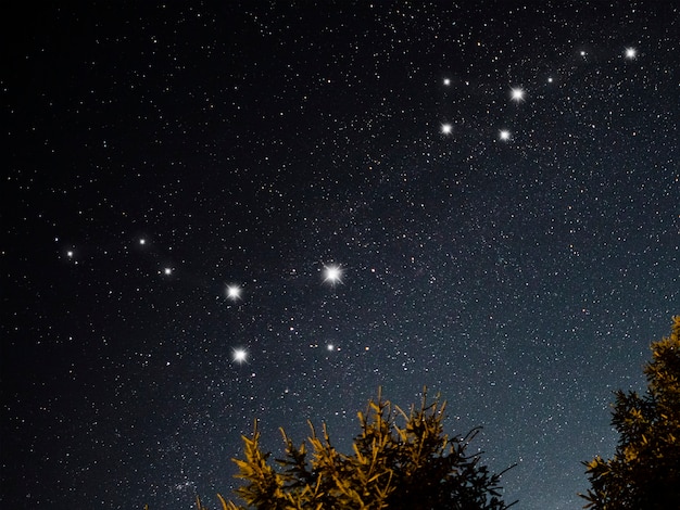 Foto gratuita costellazioni dell'orsa maggiore e dell'orsa minore