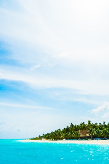 Free photo vacation tree holiday maldives islands