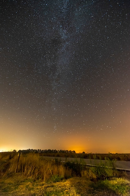 Free photo vertical shot of an empty road surrounded with greenery under a starry sky