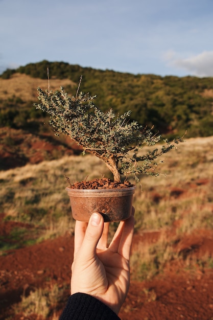 Free photo vertical shot of a hand holding a plant outdoors