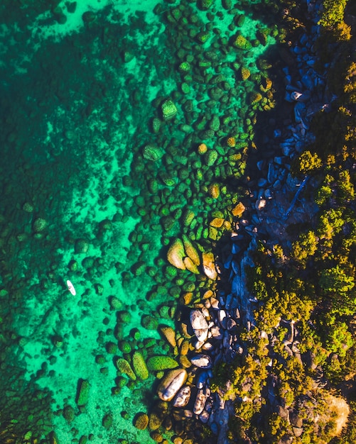 Free photo vertical shot of lake tahoe stand up paddleboard