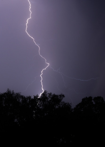 Free Photo vertical shot of lightning hitting a tree at night with a purple sky and trees in front