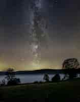 Free photo vertical shot of the milky way in the sky over a forest