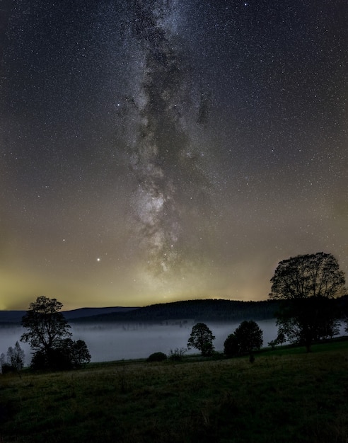 Vertical shot of the Milky Way in the sky over a forest