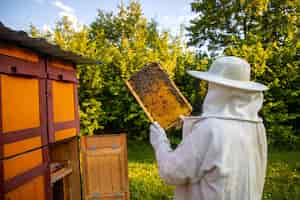 Free photo view of beekeeper collecting honey and beeswax