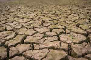 Free photo view of dried cracked mud