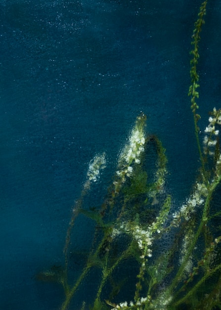 Free photo view of natural blurry flowers