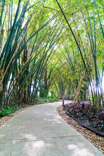 Free photo walkway with bamboo