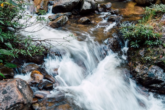 Free photo water fall to river