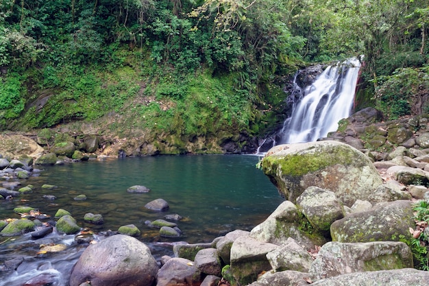 Free photo waterfall cascada de texolo in xico, mexico