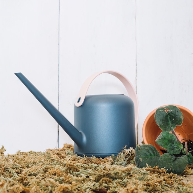 Free photo watering can near pot with plant