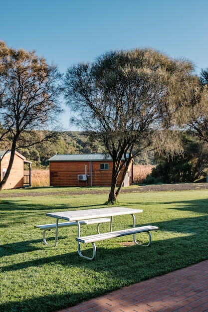 Free photo white bench in garden