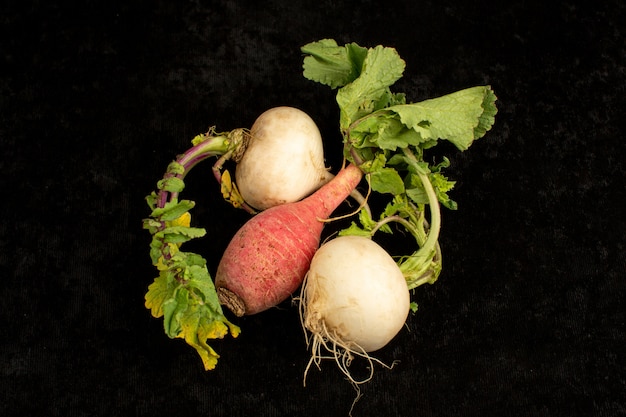 Free photo white red radish on a black