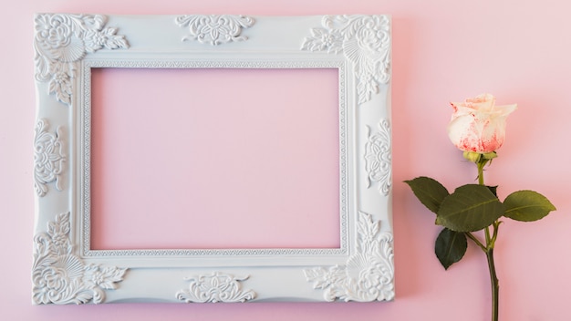 Free photo white vintage photo frame and fresh bloom