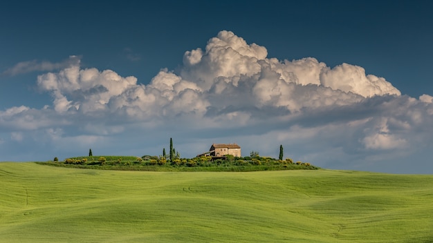 Foto gratuita ripresa a tutto campo di una verde collina in val d'orcia toscana italia