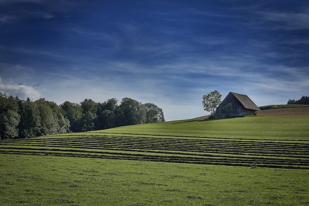 Free photo wide shot of an isolated house in the field of grass surrounded by green trees under the cloudy sky