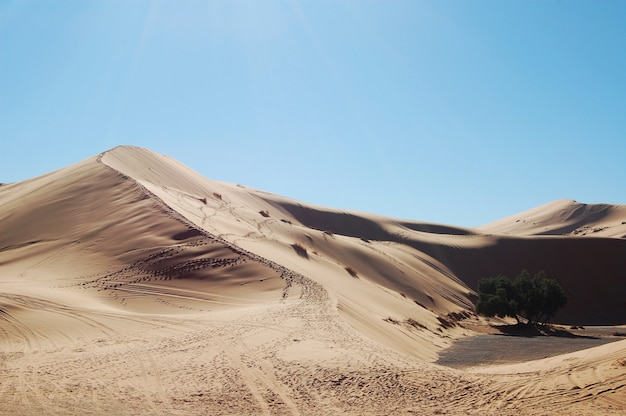 Free photo wide shot of sand dunes in the desert on a sunny day