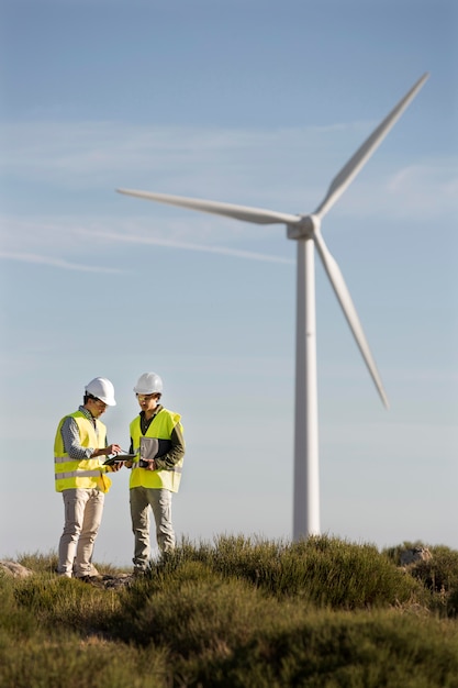 Wind farms fields