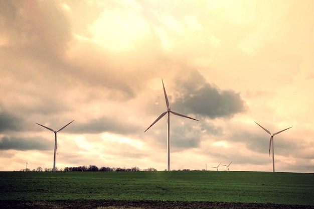 Free photo windmill