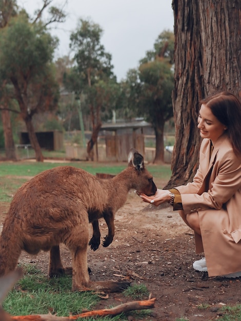 Free photo woman in the reserve is playing with a kangaroo