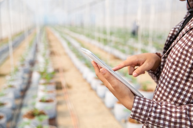 Free photo woman science assistant, agricultural officer. in greenhouse farm research melon