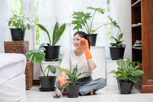 Free photo the woman wore orange gloves and planted trees in the house.