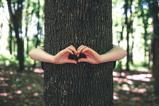 Free photo womens hands hug a tree in the forest love for nature