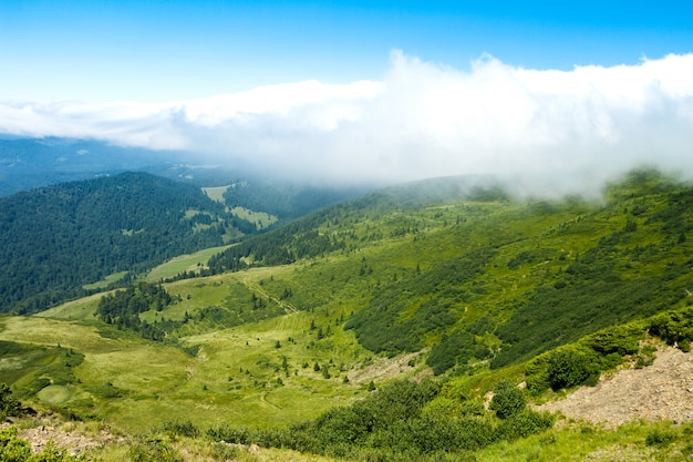 Бесплатное фото Прекрасный ландшафт украинских карпат.