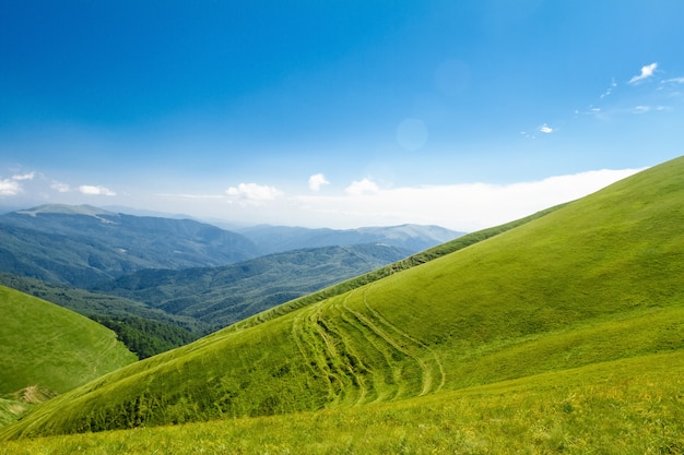 Бесплатное фото Прекрасный ландшафт украинских карпат.