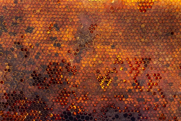 Free photo yellow honeycomb texture