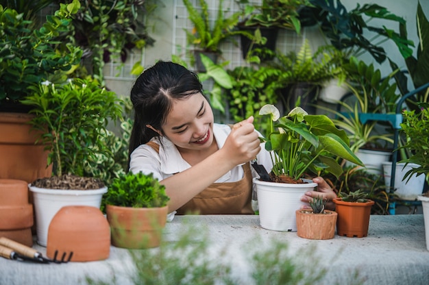 Free photo young asian gardener female wearing apron using shovel to transplants houseplant and cactus