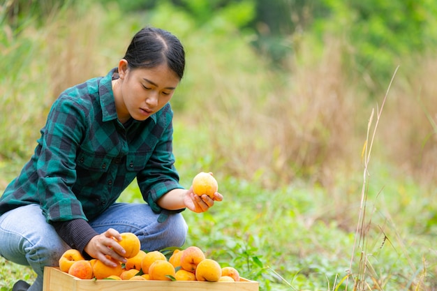 Free Photo young farmer holding peaches