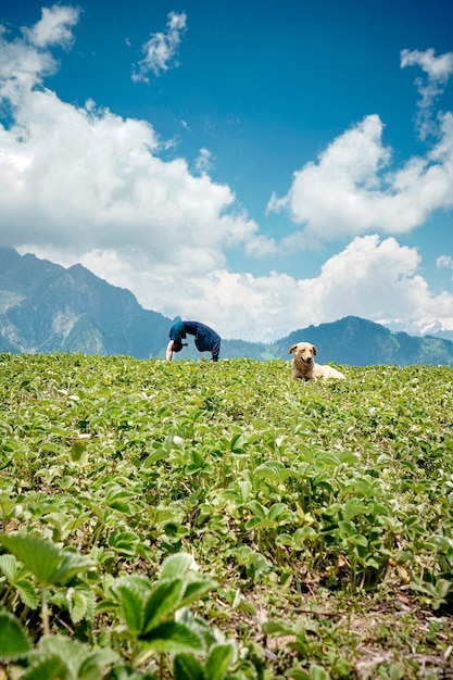 Free Photo young woman doing yoga exercises in a natural environment with a dog sitting on a grass