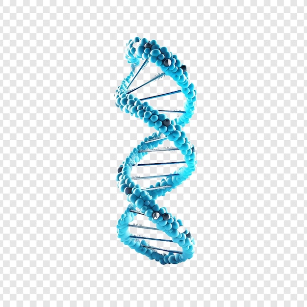 Free PSD 3d blue dna helix sequence element isolated on transparent background